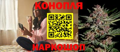 jwh Краснодар