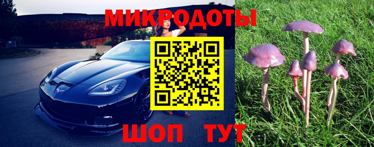 Галлюциногенные грибы Psilocybine cubensis Углич