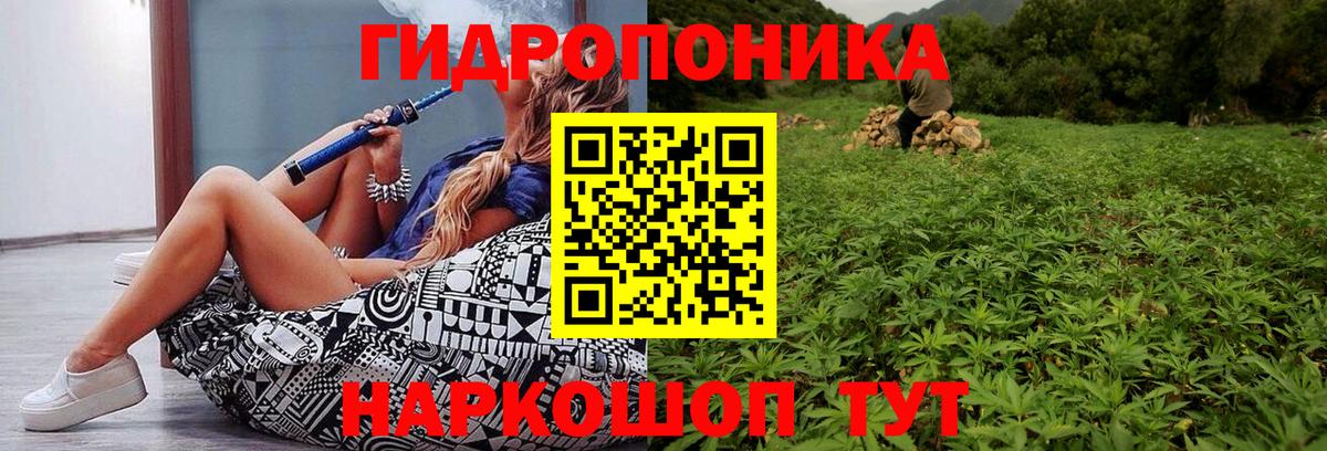 МАРИХУАНА конопля Углич